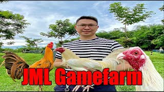 Lets Visit The Farm Of JML Gamefarm