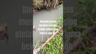 Mancing ah #mancing #pancing #fishing #tipsmemancing #mancingmania #fypシ゚viral #ytvideo #ytshorts