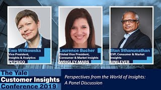 Perspectives from the World of Insights: A Panel Discussion