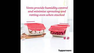 Tupperware Accessmate