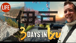 3 Days in World Famous Izu Peninsula | Life in Japan Episode 99