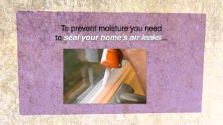 Moisture and Energy Efficient Homes