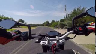 Rabid squirrel sets up road block and flips bike