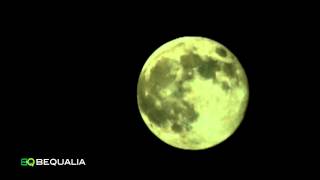 The Moon | Bequalia Sardegna