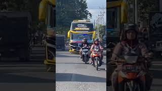 Nada Viral Jeger Alzifa V8 #telolet #basuri #busmania #basuriv1 #busmaniacomunity #shorstvideo