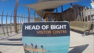 Australia: Head of the Bight