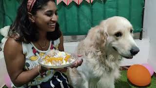 Leo's 2nd birthday | A day full of surprises | Vlog #48 #DogVlog