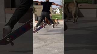 What do you even call this trick??! #skateboard #shorts