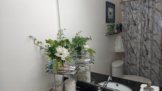 Bathroom Decor: Guest Bath #2