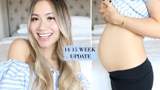 Pregnancy Update 14-15 Weeks, Baby #3: The Golden Trimester, Happy, Energetic | HAUSOFCOLOR