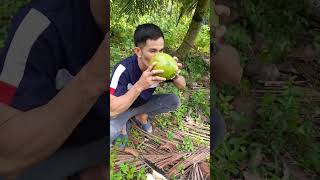 Buhay Probensiyana! #amazing  #trendingshorts #buko #bukojuice #shortvideo