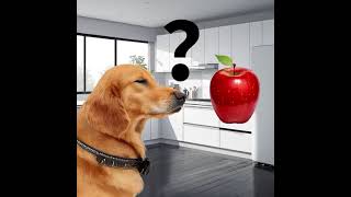 Can dogs eat apples?