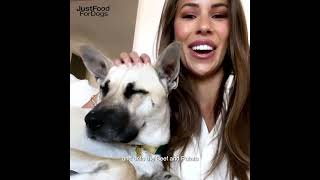 Growing up on JustFoodForDogs with Devin Brugman & Walter