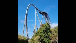 The swarm so close to 500 subs btw #trending #thorpepark #swarm #thorpepark