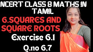 NCERT CLASS 8 MATHS CHAPTER 6 SQUARES AND SQUARE ROOTS EXERCISE 6.1 QUESTION NO 6,7 IN TAMIL