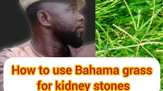 How to use Bahama grass for kidney stones