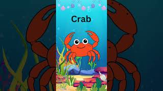 Sea Animals Name|| #kidsvideo #animation#seaanimals  #shortsvideo#sea#kidsfun#education