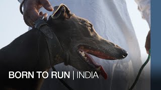 Born To Run | India