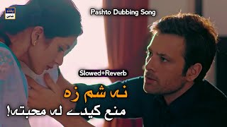 Na Sham Za Mana Kedi La Muhabbata [Slowed+Reverb] | Pashto New Dubbing Song 2022 | Pashto Shine