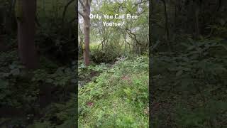 Only you can free yourself #nature #landscape #shortvideo #shortsvideo #ytshorts #youtubeshorts