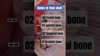 🗣️bones of fetal skull 🔥 #obstetrician #bscnursing #gnm #fetal