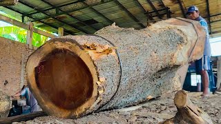 Gergaji mesin ‼️Kayu berotot dari Islandia di sawmill