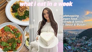 what i eat in a week in Korea 🍰 cafehopping, vegan restaurants, eating with friends & family