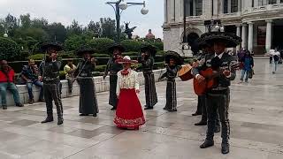 Hermosa voz la de esta chiquilla!. En bellas artes.