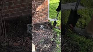 Landscaping bed transformation pt 1 subscribe for part 2 #lawncare #dslawnandlandscape #landscaping