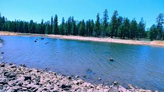 White Horse Lake Campground, Arizona