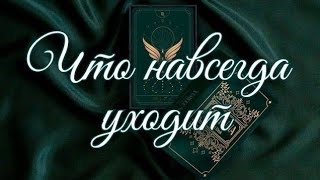 🌿 ЧТО НАВСЕГДА УХОДИТ С 2023 ГОДОМ 🌿