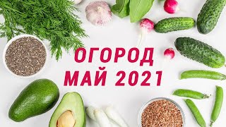 Календарь огородника, садовода. Агро-календарь на май 2021 посевной. Дни посадки, посева, пересадки