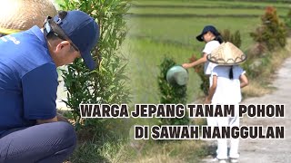 Warga Negara Jepang Tanam Pohon di Sawah