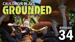 Boss Battle Time // Cauldron Plays Grounded // Episode 34