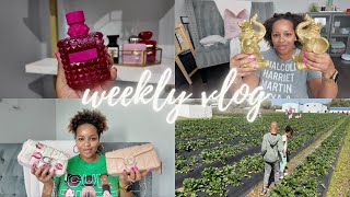 Vlog #135 | Fragrance Tray Update, Coach Quilted Tabby, Family Time