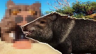 This is the Best Peccary Habitat in Planet Zoo