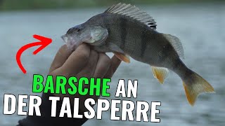 Gierige Barsche vom Ufer! || Angeln an der Talsperre || Pantoffel angelt