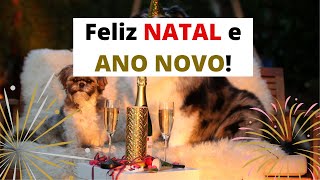 Mensagem Feliz Natal e Feliz Ano Novo