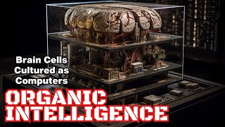 Organic Intelligence: Brain Cells Cultured as Computers