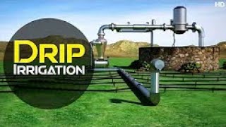 Drip Irrigation System   How Does it Works   ! | Discover Agriculture