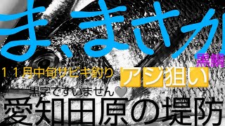 まさか🟠🟠がつれるとは！愛知田原の堤防　１１月中旬　サビキ釣りアジ狙い