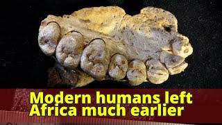 Modern humans left Africa much earlier