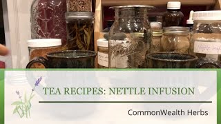 Nettle Infusion