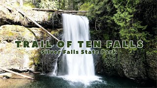 Trail of Ten Falls in Silver Falls State Park | The Complete Tour