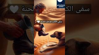 سقى كلب فأدخله الله الجنة 🤍 #قصص #shorts