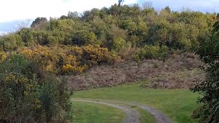 Прогулка на природе/ Ловушка для кабанов и поссумов / Новая Зеландия/ Nature walk /New Zealand 🇳🇿 ♥️