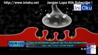 Fakta Kondisi Tubuh Setelah Kematian