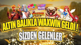 SLOT OYUNLARI SİZDEN GELENLER | 100X'LER VE ALTIN BALIKLARLA DOLU MAXWİNLER GELDİ!