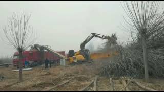 horizontal grinder chipping tree