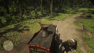 Why is my horse so stupid? RDR2